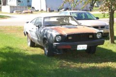 DSC_0029